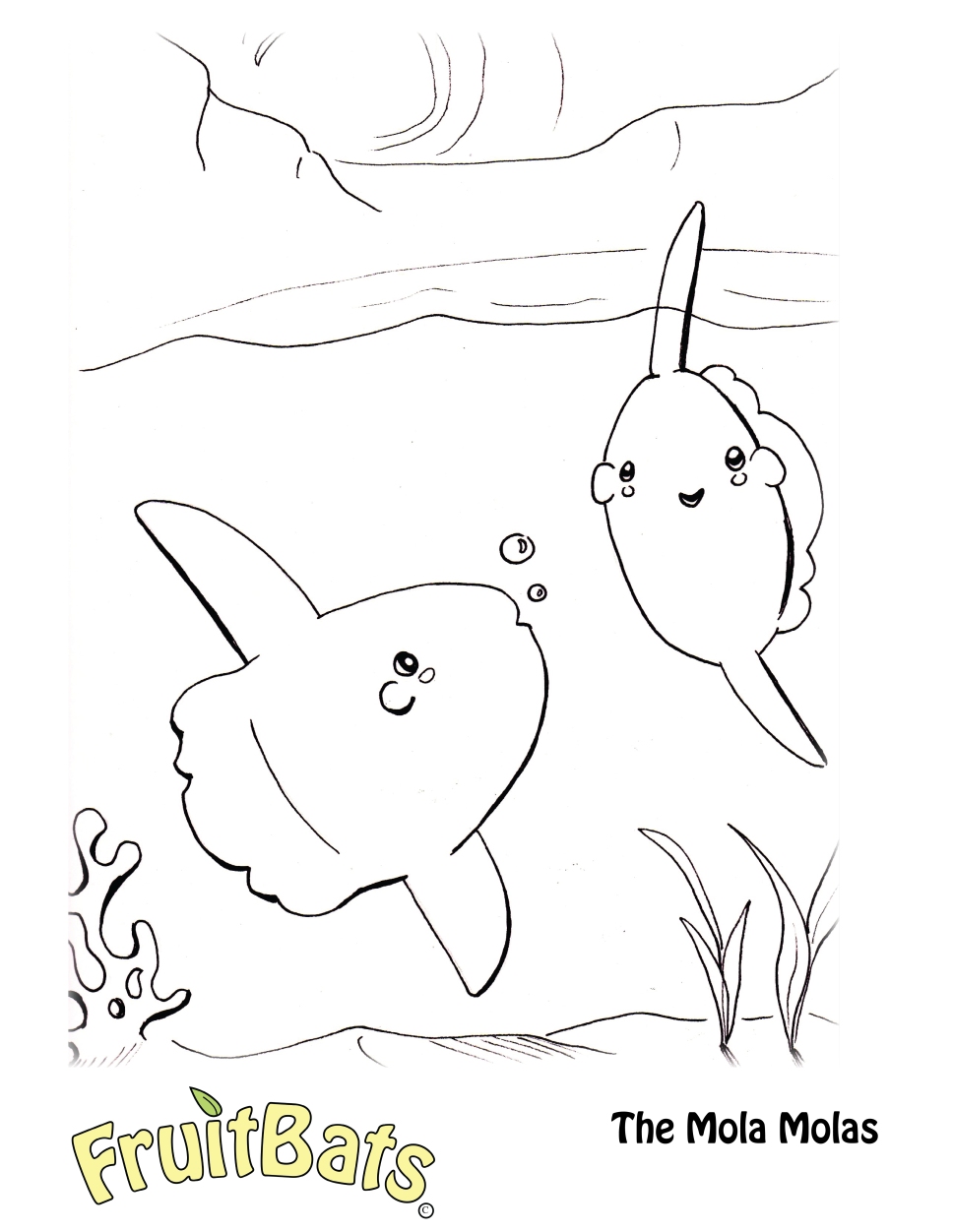 Mola mola sunfish coloring page fruitbats pany