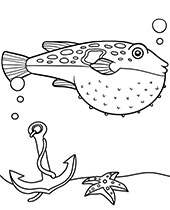 Ocean sunfish coloring page