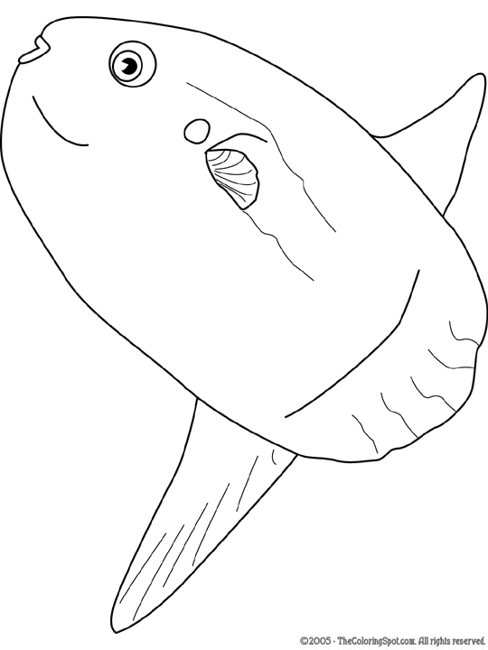 Ocean sunfish coloring page audio stories for kids free coloring pages colouring printables