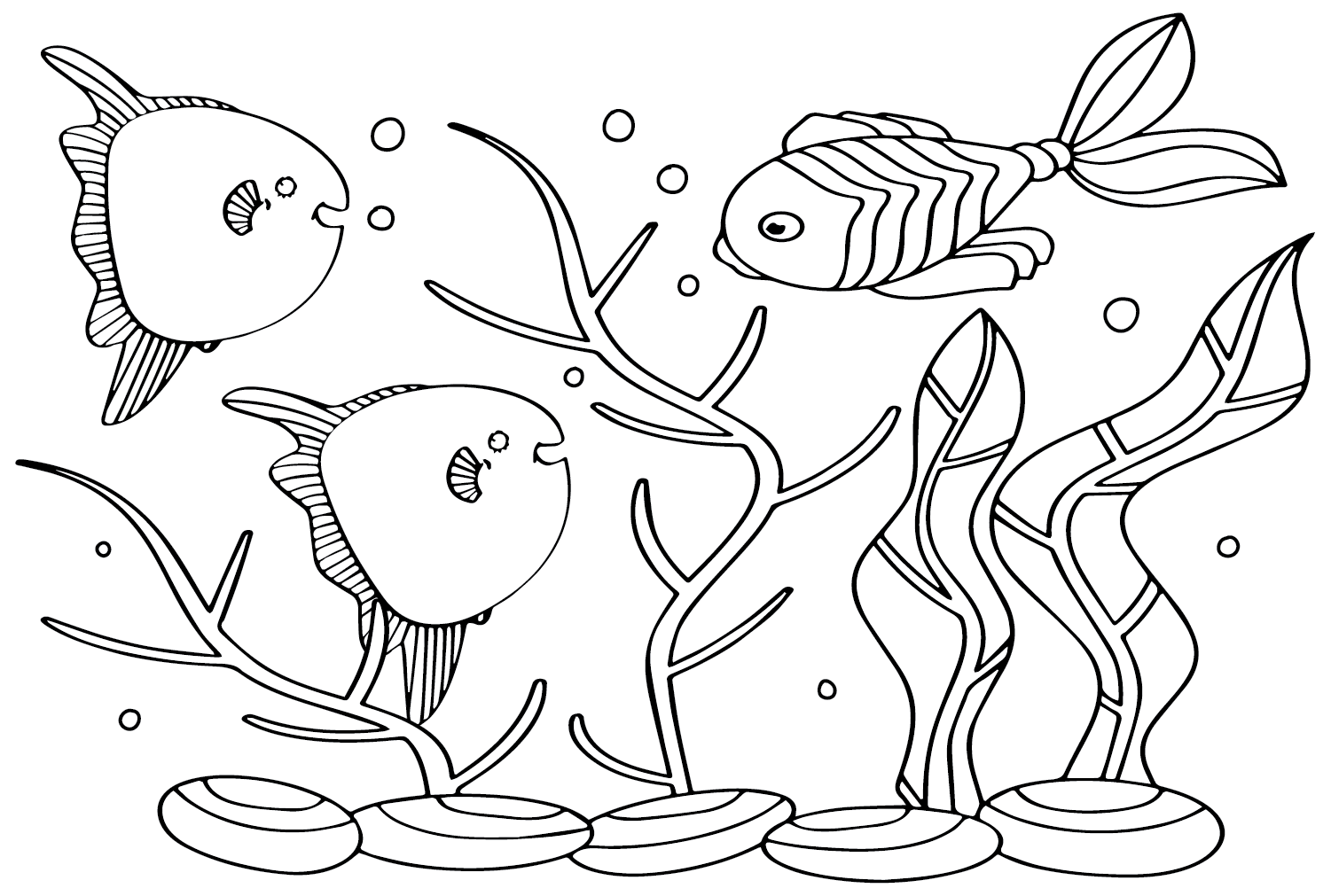 Ocean sunfish coloring pages