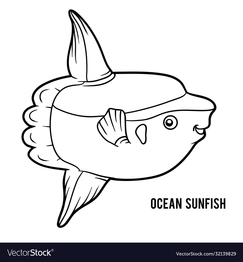 Coloring book ocean sunfish royalty free vector image