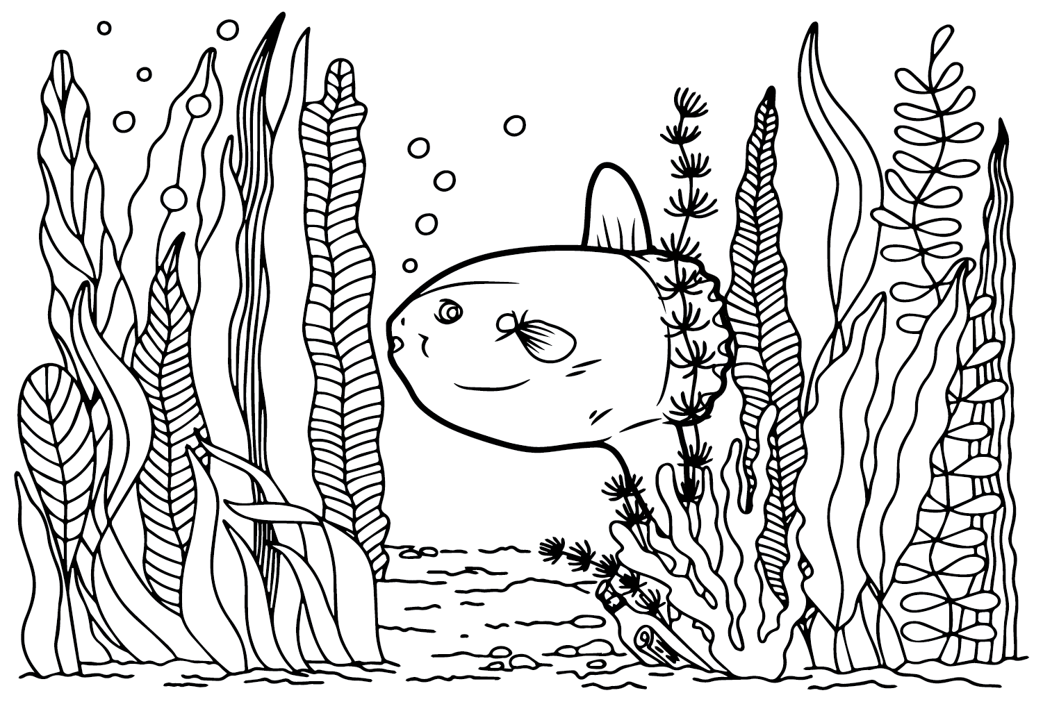 Ocean sunfish coloring pages