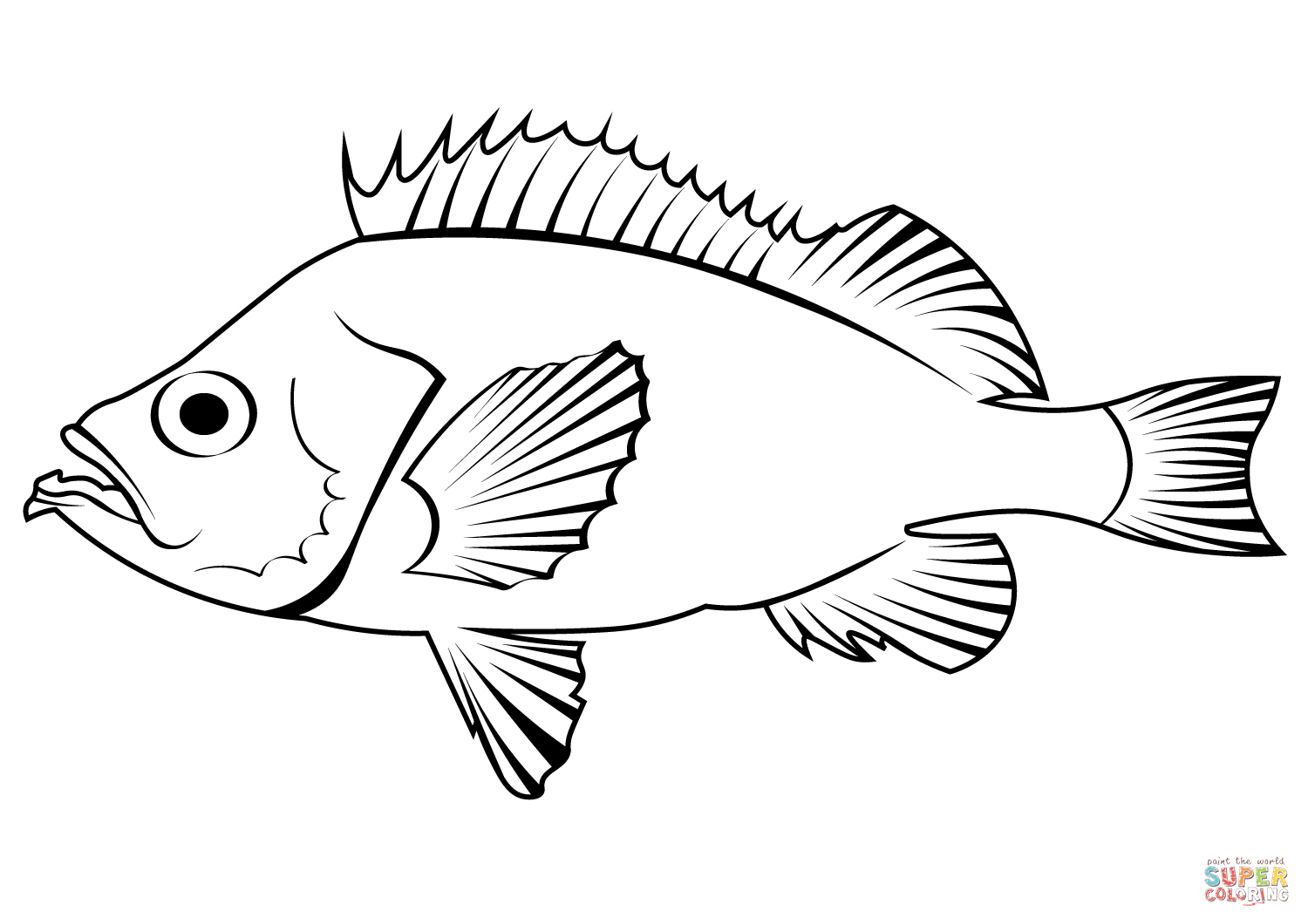 Pacific ocean perch sebastes alutus coloring page free printable coloring pages