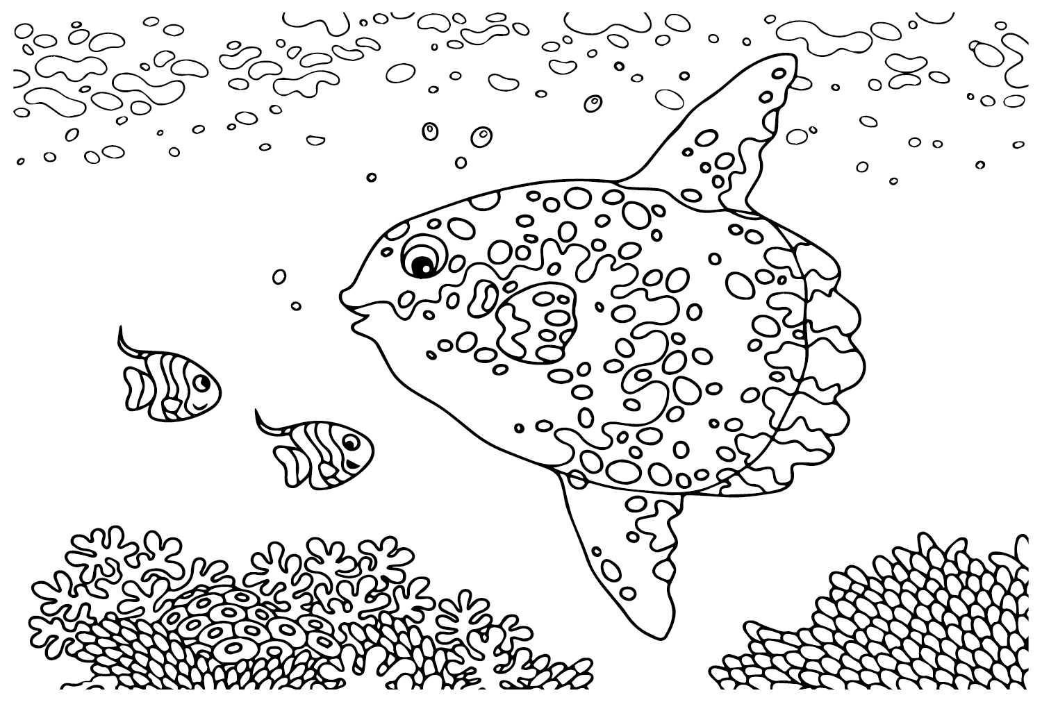 Ocean sunfish coloring pages