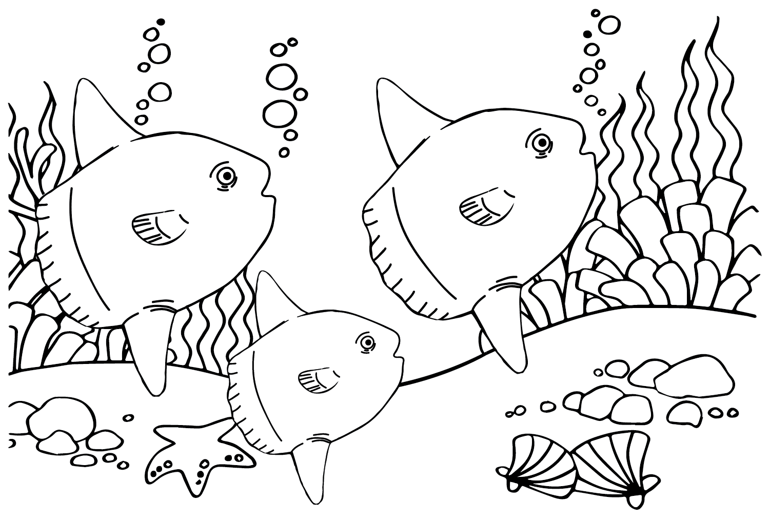 Ocean sunfish coloring pages