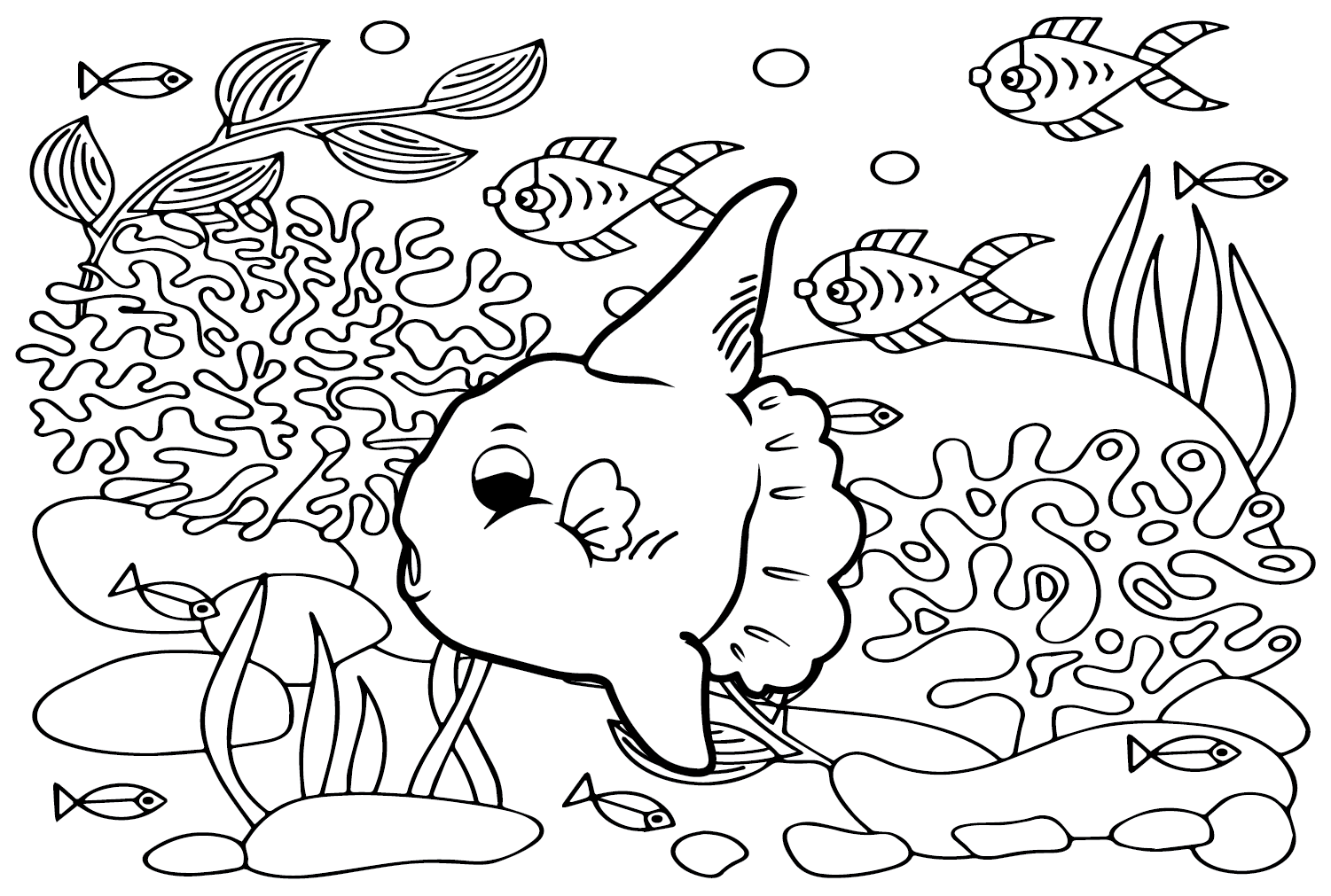 Ocean sunfish coloring pages