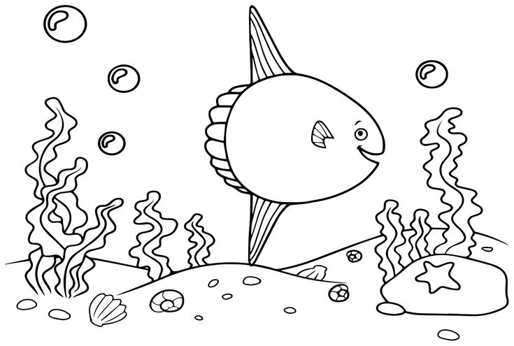 Pin on ocean sunfish coloring pages