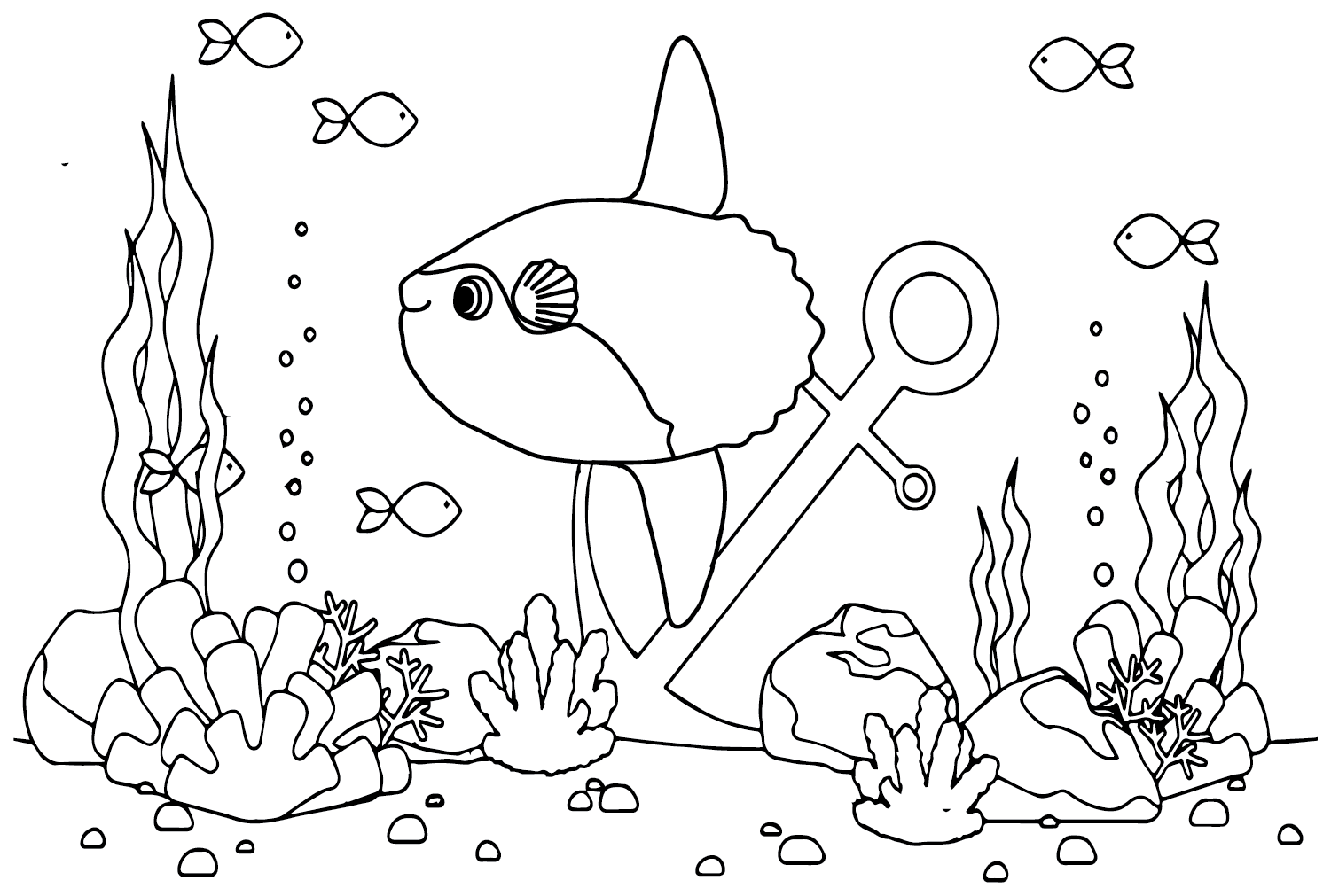 Sunfish ocean coloring page