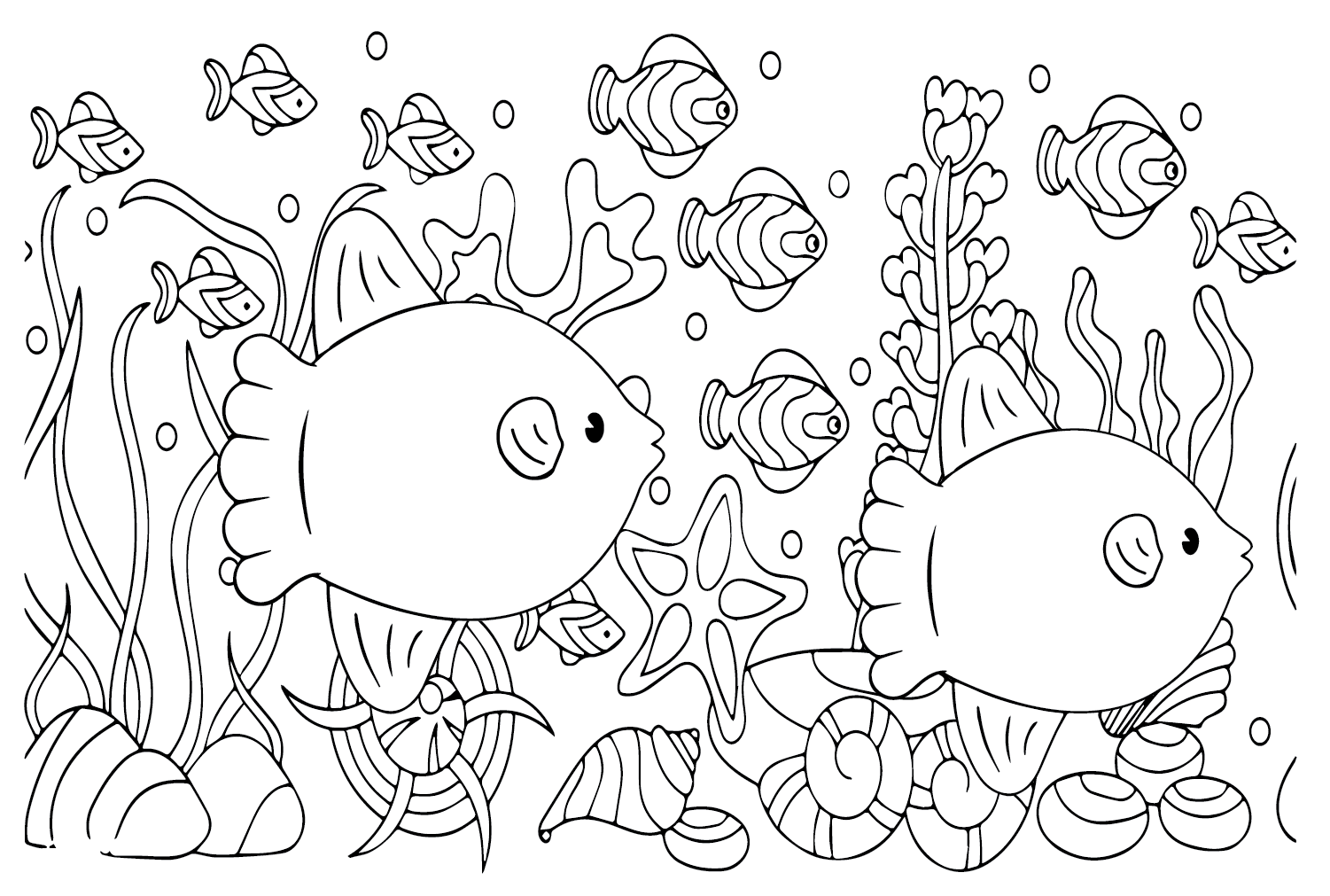 Ocean sunfish coloring pages