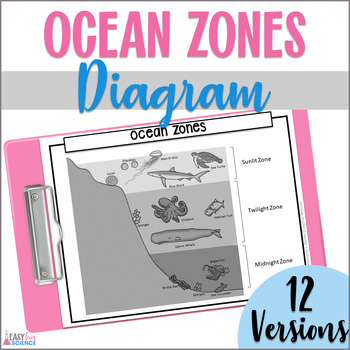 Ocean zones coloring page tpt