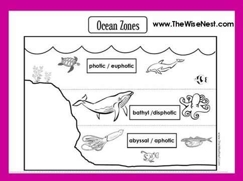 Ocean zones to label and color
