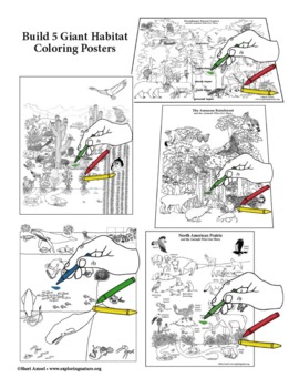 Ocean zones coloring page tpt