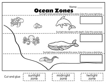 Ocean zones by pear tree academy tpt