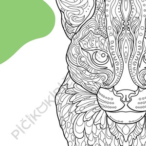 Ocelot coloring page