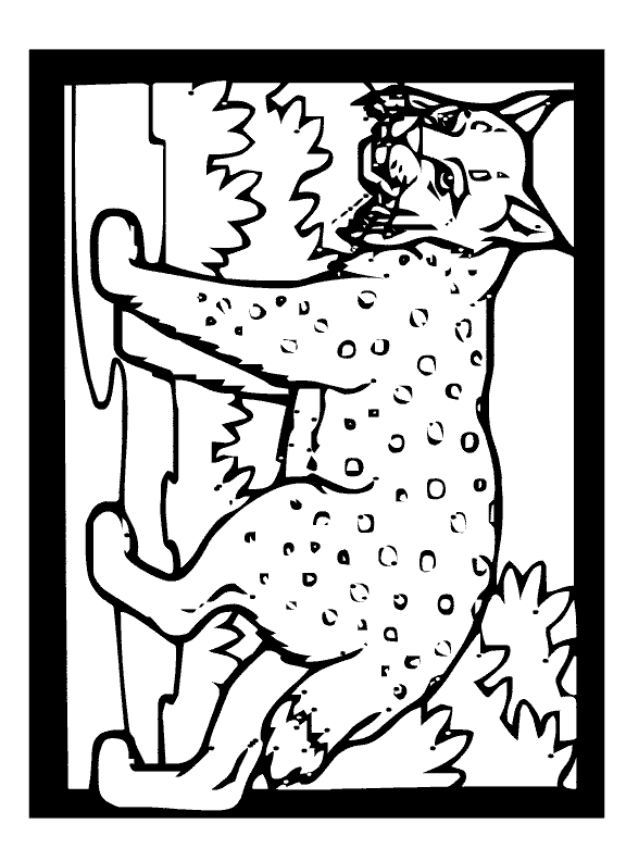 Ocelot coloring page