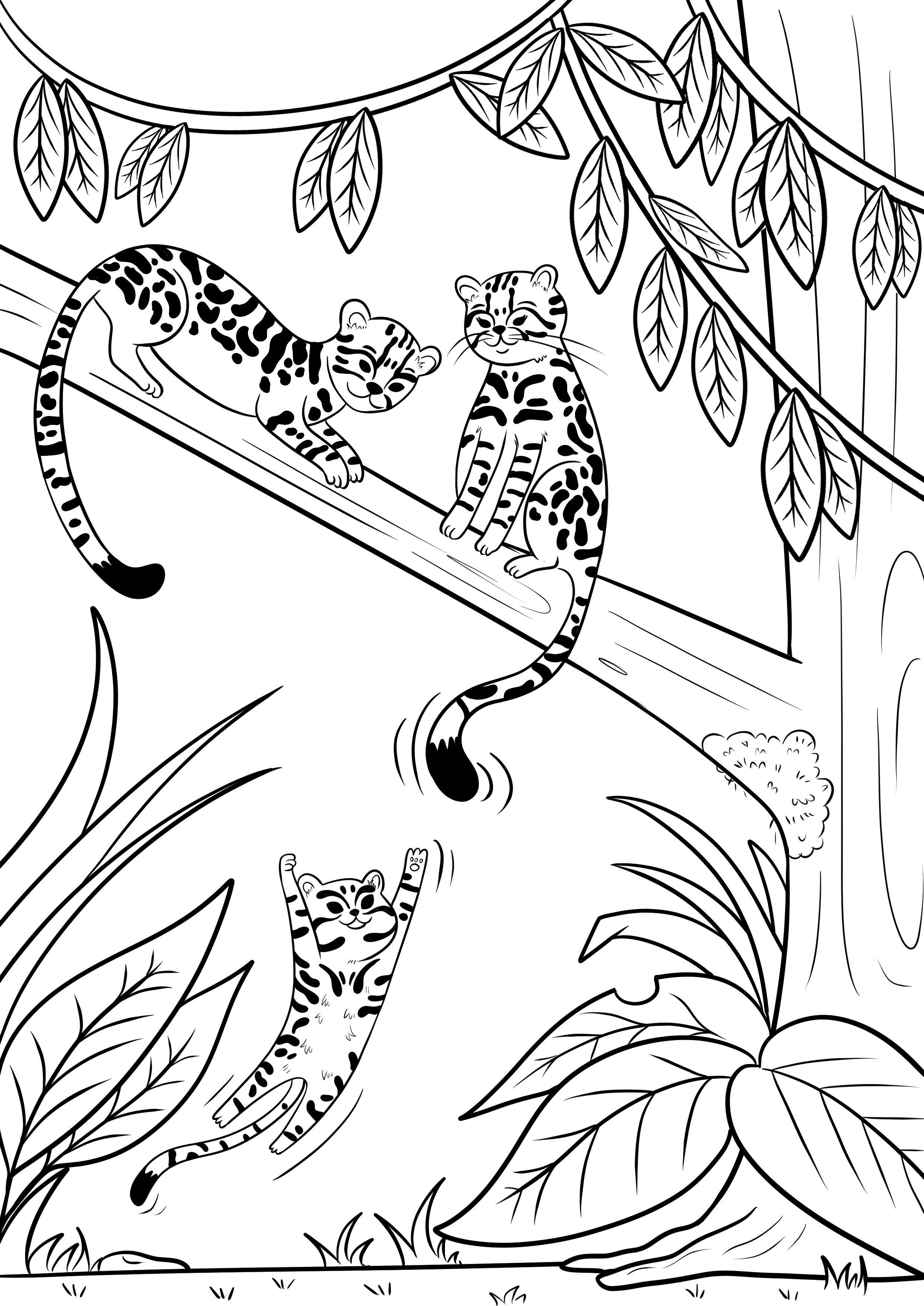 Baby animal coloring sheets