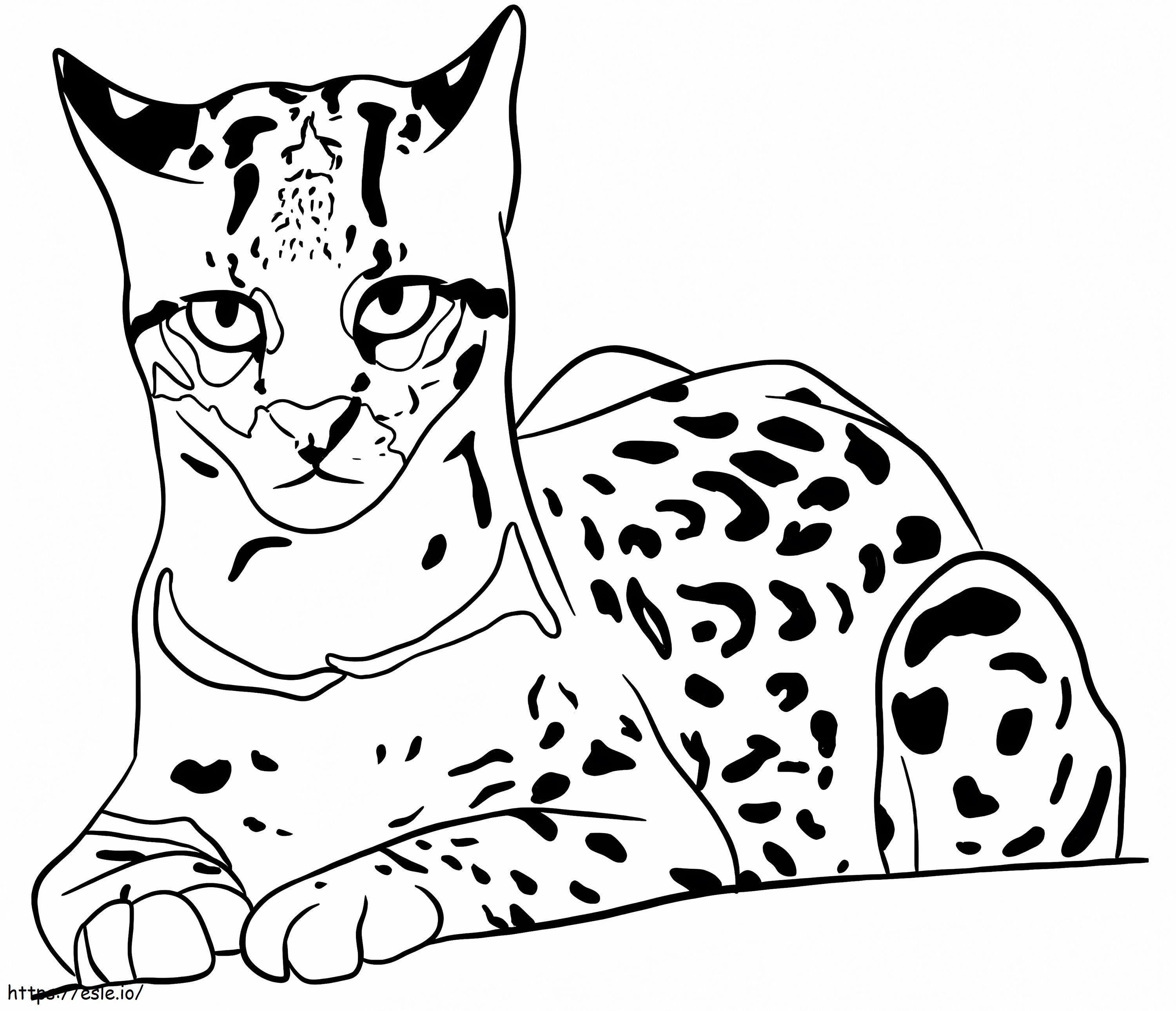 Normal ocelot coloring page