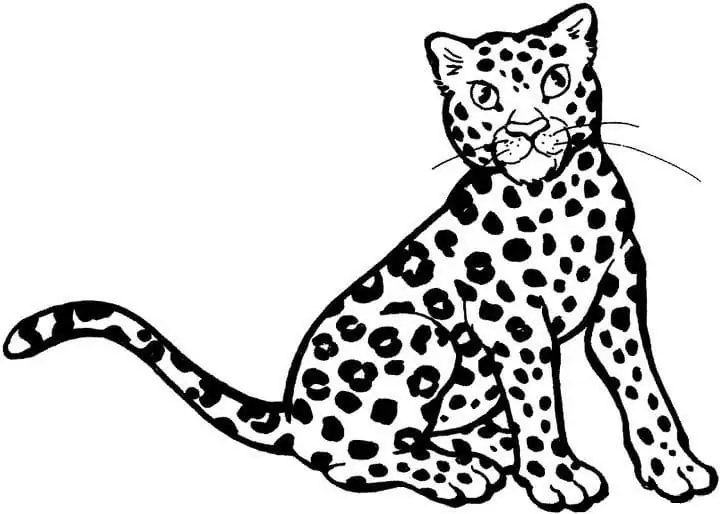 Ocelot malvorlagen