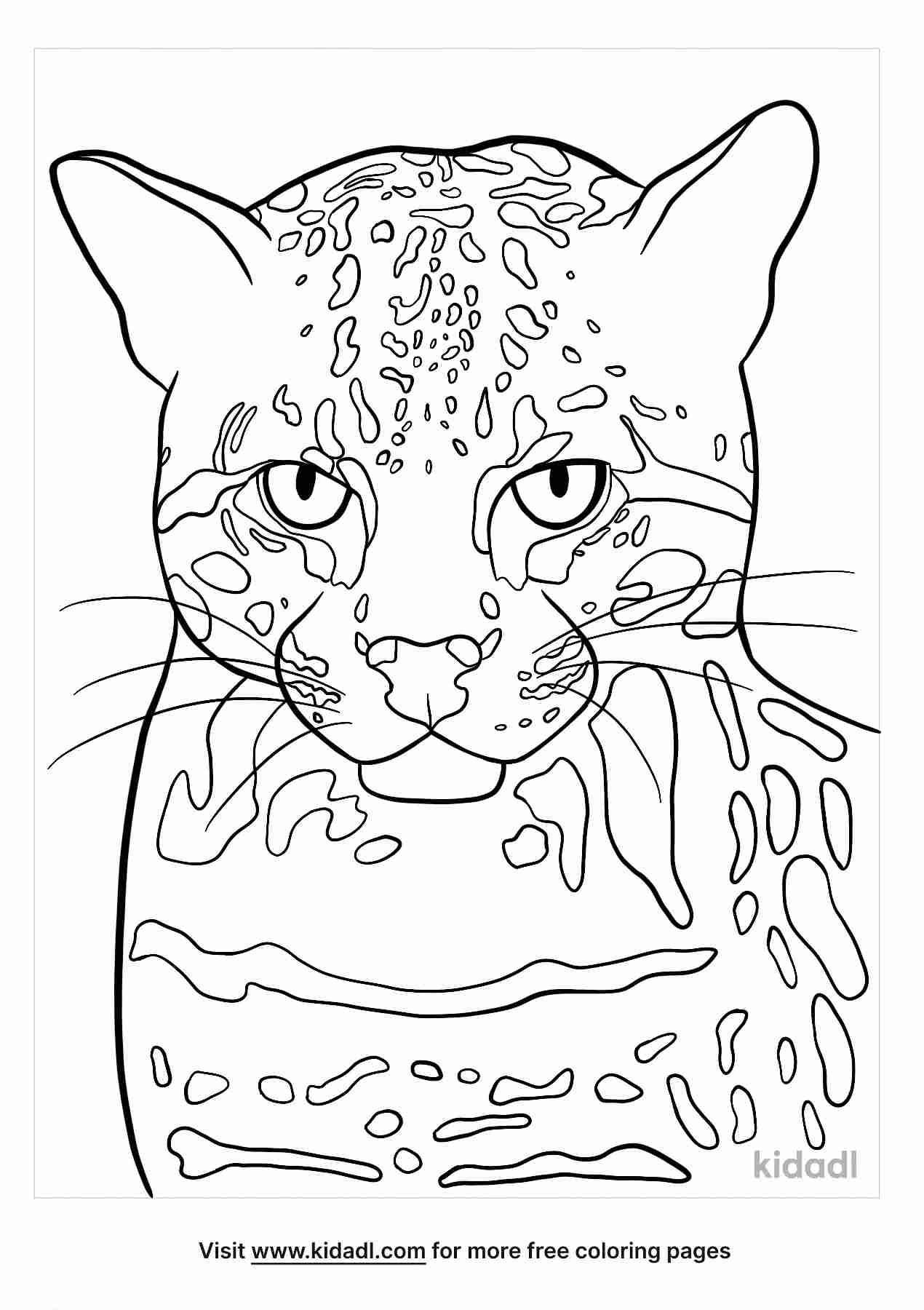 Free ocelot coloring page coloring page printables