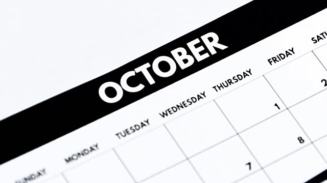 November calendar stock videos and royalty