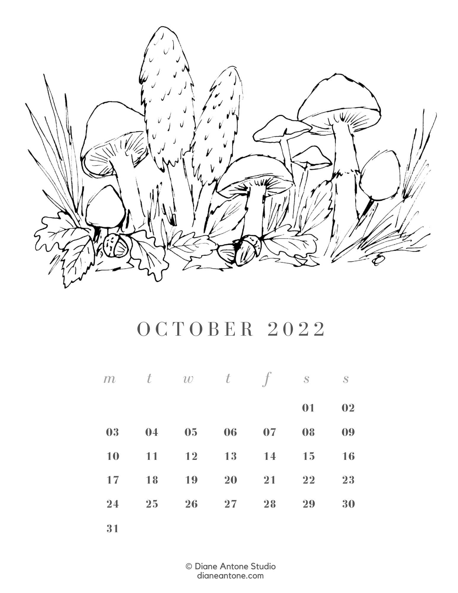 Coloring calendar diane antone studio