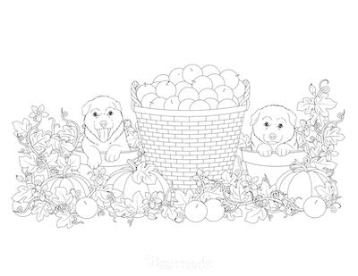 Fall coloring pages for a fun autumn indoor activity