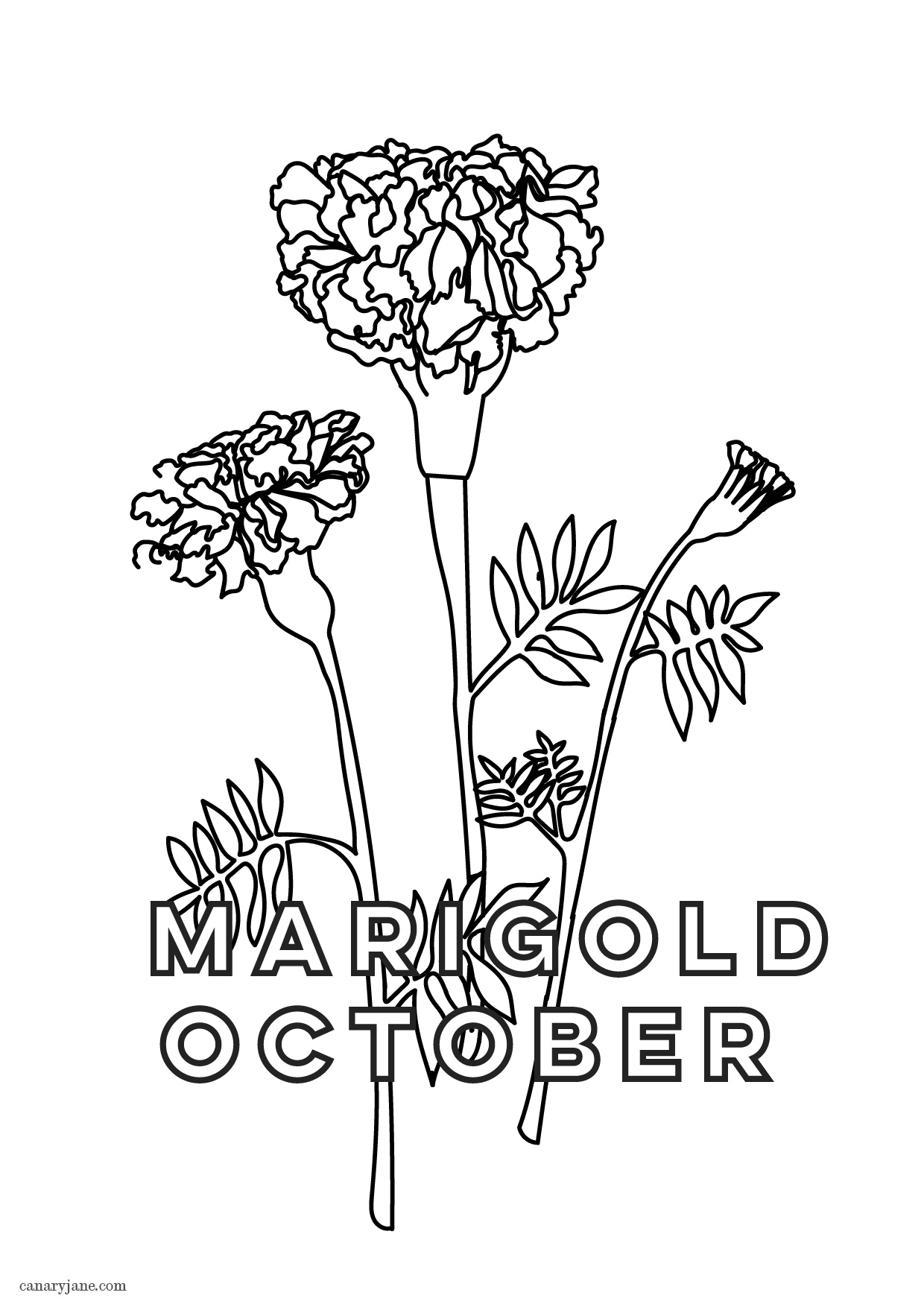 October birth flower marigold friday free printable