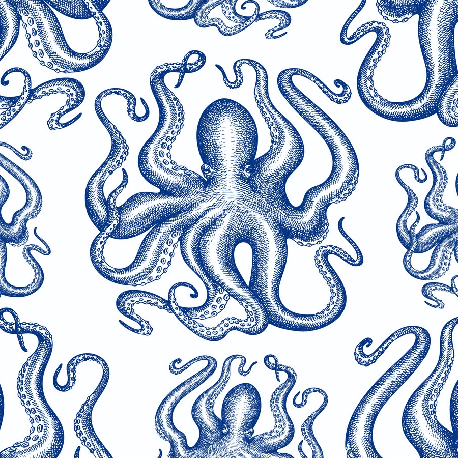 Download Free 100 + octopus Wallpapers