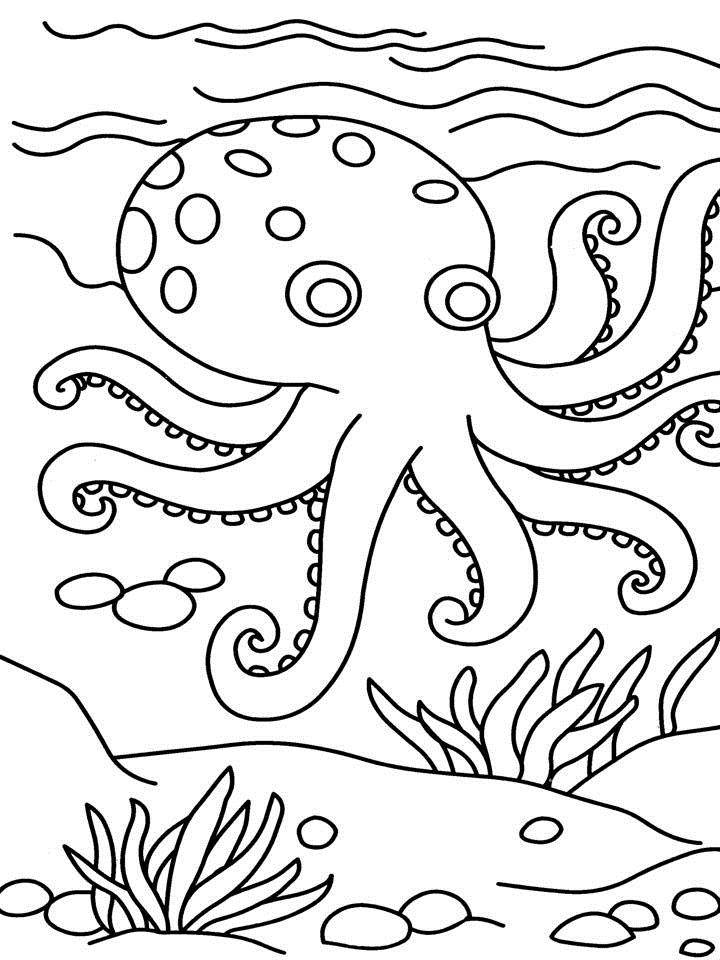 Octopus coloring page for kids