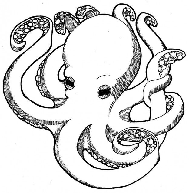 Free printable octopus coloring pages for kids octopus coloring page animal coloring pages octopus colors