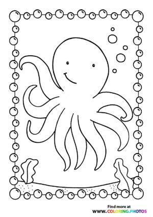 Octopus