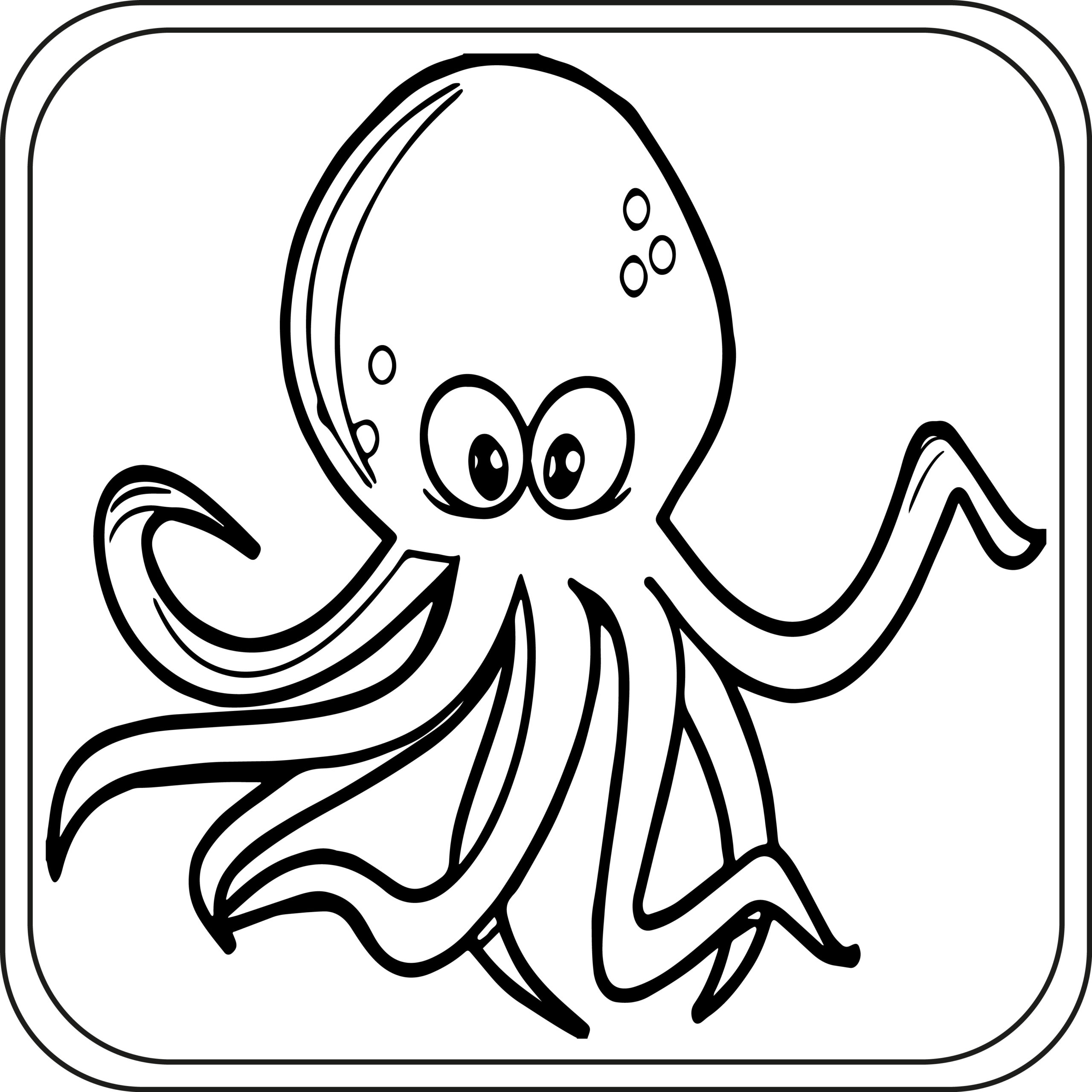 Octopus coloring pages preschool kindergarten first grade made by teachers