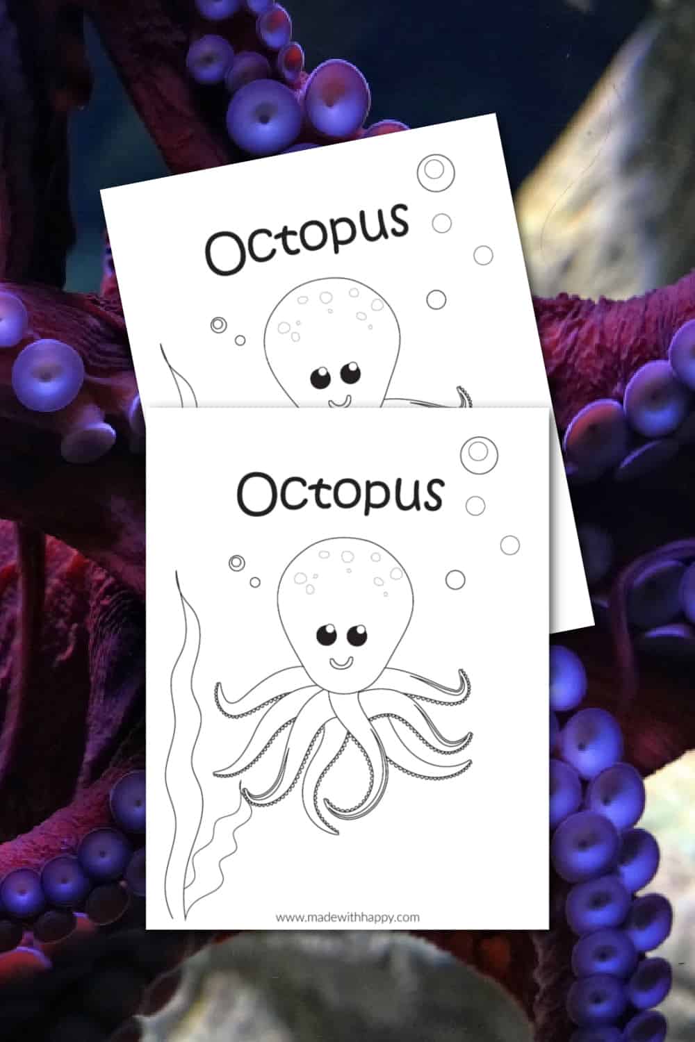 Octopus coloring page free printable