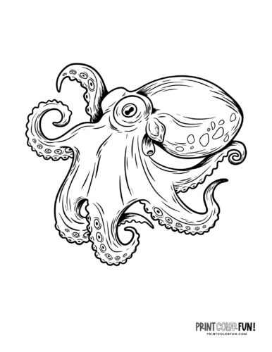 Octopus drawings clipart make waves with these fun craft learning activities at