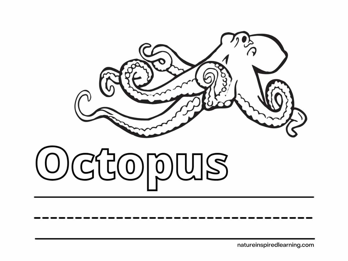 Octopus coloring pages