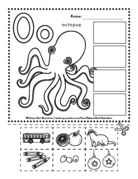 O octopus