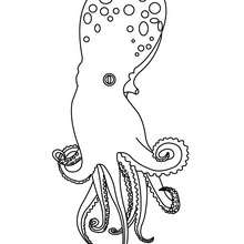 Octopus coloring pages