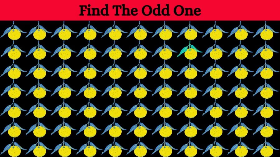 Brain test can you spot the odd one out in this image picture puzzle