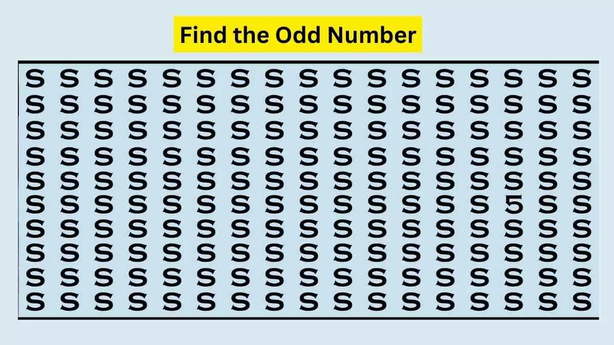 Only out of can find number hidden among ss in the picture seconds left