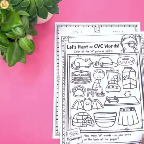 Cvc word family og no prep phonics printables by tweet resources