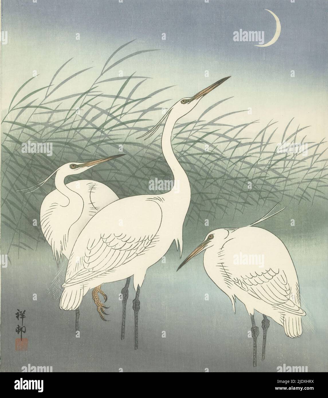 Herons in shallow water three herons in shallow water near reeds and crescent moon print maker ohara koson mentioned on object publisher watanabe shãzaburã print maker japan publisher tokyo paper color