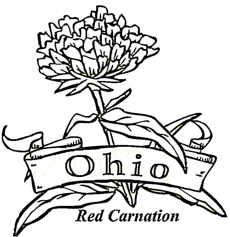 Ohio state flower coloring page