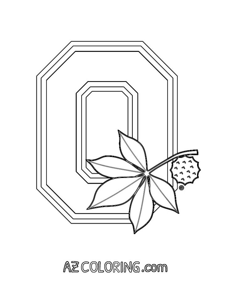 Ohio state buckeyes coloring page