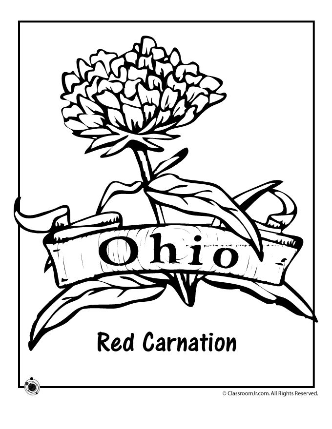 Ohio state flower coloring page woo jr kids activities flower coloring pages coloring pages flower drawing