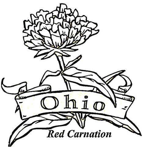 State of ohio coloring page free printable coloring pages flower coloring pages pokemon coloring pages printable flower coloring pages