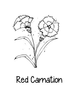 Ohio state coloring pages by loving life in kindergarten tpt