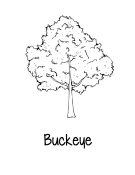 Ohio state coloring pages by loving life in kindergarten tpt