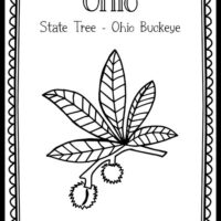 Ohio â the art kit