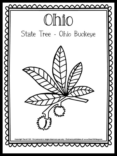 Ohio state tree coloring page ohio buckeye free printable â the art kit