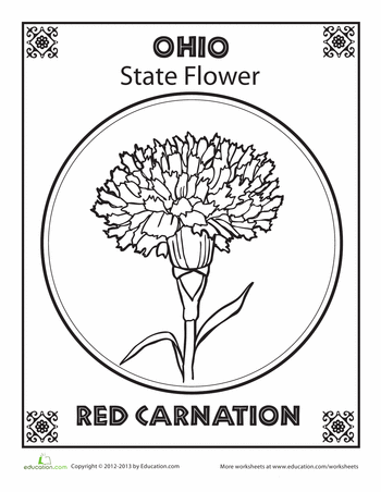 Ohio state flower worksheet education state symbols art lessons middle school ohio state